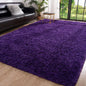 Fluffy Fuzzy Non Slip Area Rug