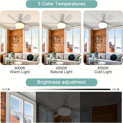 Ceiling Fan Light with Remote,