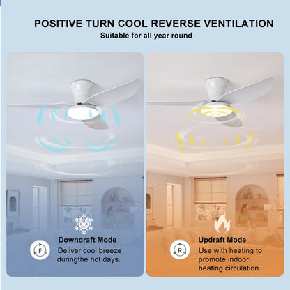 Bedroom ceiling fan light, dining room, living room,