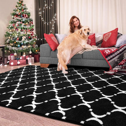 Shag Area Rug Memory Foam Rug 6x9 Feet,